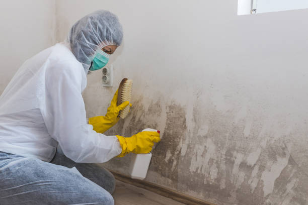 Best Crawl Space Mold Removal  in Flora, MS