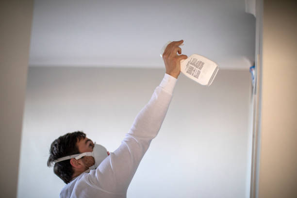 Best Mold Removal Company Near Me  in Flora, MS