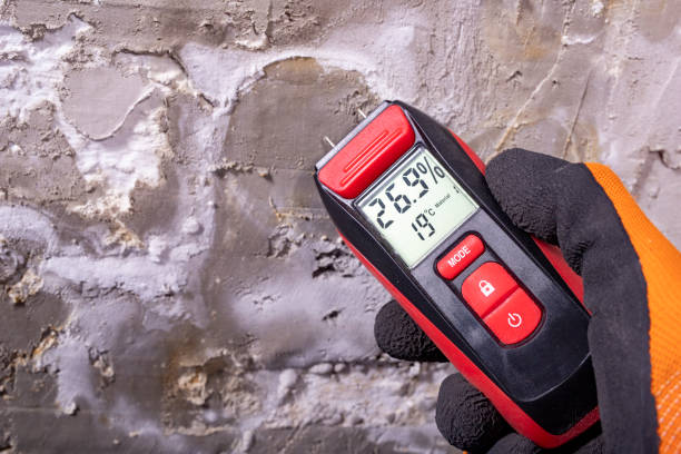 Professional Mold Removal in Flora, MS